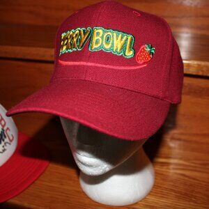 3/$88❤️vintage BERRY BOWL baseball cap Nissin trucker hat Watsonville Berry